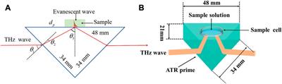 Detection of the minimum concentrations of α-lactose solution using high-power THz-ATR spectroscopy